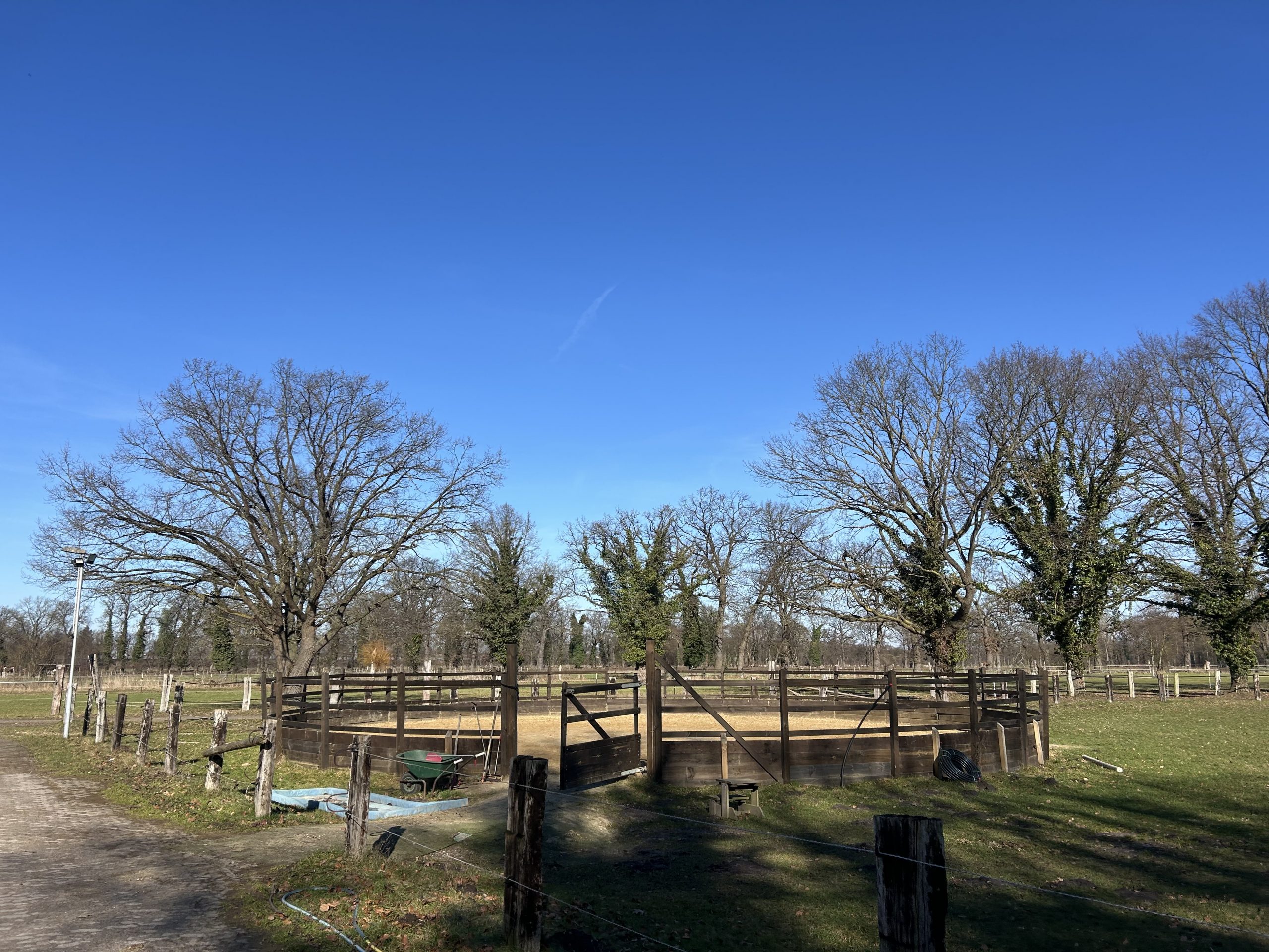 Der große Zirkel draußen